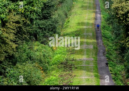 Trouee de Wallers Arenberg Dreve des boules d'Herin Banque D'Images