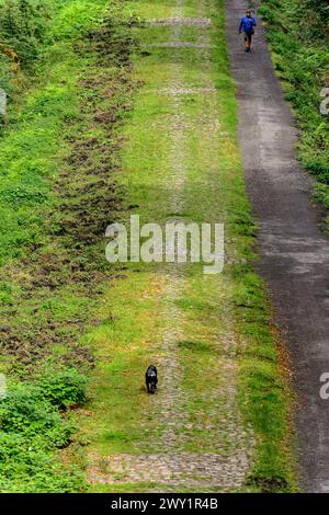 Trouee de Wallers Arenberg Dreve des boules d'Herin Banque D'Images