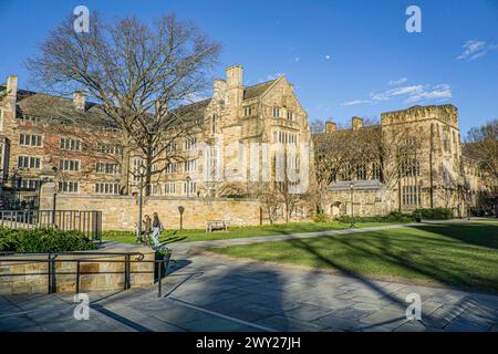 Anne T. & Robert M. Bass Library, vue extérieure, Yale University, New Haven, Connecticut, ÉTATS-UNIS Banque D'Images