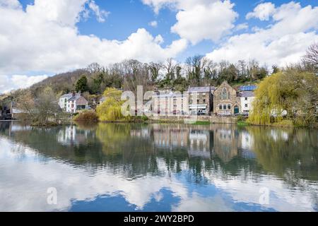 Cromford Mill Pond photographié un jour de printemps lumineux en mars 2024 entouré d'arbres de saule et de vieilles maisons. Banque D'Images