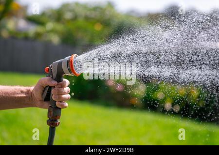 Tuyau d'arrosage avec buse réglable. Main de l'homme tenant pistolet de pulvérisation et arrosant les plantes, pulvérisant de l'eau sur l'herbe dans la cour arrière. Banque D'Images