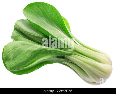 Bok choy ou chou chinois isolé sur fond blanc. Le fichier contient un chemin de détourage. Banque D'Images