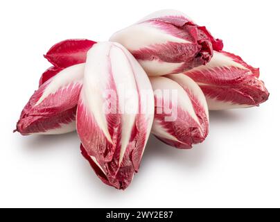 Endives rouges sur fond blanc. Le fichier contient un chemin de détourage. Banque D'Images
