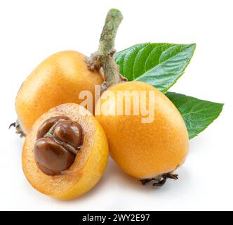 Fruits mûrs parfaits loquats avec des feuilles vertes isolés sur fond blanc. Banque D'Images