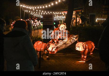 Kleve Tiergarten - Chine-lumières Lichtershow Kleve Tiergarten - Chine-lumières Lichtershow, Kleve Nordrhein Westfalen Allemagne *** Kleve Tiergarten Chine lumières Lichtershow Kleve Tiergarten Chine lumières Lichtershow, Kleve Nordrhein Westfalen Allemagne Banque D'Images