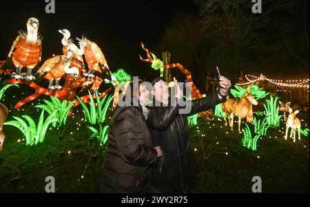 Kleve Tiergarten - Chine-lumières Lichtershow Kleve Tiergarten - Chine-lumières Lichtershow, Kleve Nordrhein Westfalen Allemagne *** Kleve Tiergarten Chine lumières Lichtershow Kleve Tiergarten Chine lumières Lichtershow, Kleve Nordrhein Westfalen Allemagne Banque D'Images