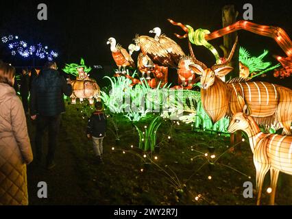 Kleve Tiergarten - Chine-lumières Lichtershow Kleve Tiergarten - Chine-lumières Lichtershow, Kleve Nordrhein Westfalen Allemagne *** Kleve Tiergarten Chine lumières Lichtershow Kleve Tiergarten Chine lumières Lichtershow, Kleve Nordrhein Westfalen Allemagne Banque D'Images