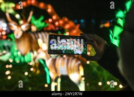 Kleve Tiergarten - Chine-lumières Lichtershow Kleve Tiergarten - Chine-lumières Lichtershow, Kleve Nordrhein Westfalen Allemagne *** Kleve Tiergarten Chine lumières Lichtershow Kleve Tiergarten Chine lumières Lichtershow, Kleve Nordrhein Westfalen Allemagne Banque D'Images