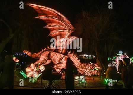 Kleve Tiergarten - Chine-lumières Lichtershow Kleve Tiergarten - Chine-lumières Lichtershow, Kleve Nordrhein Westfalen Allemagne *** Kleve Tiergarten Chine lumières Lichtershow Kleve Tiergarten Chine lumières Lichtershow, Kleve Nordrhein Westfalen Allemagne Banque D'Images