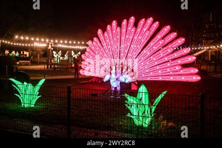 Kleve Tiergarten - Chine-lumières Lichtershow Kleve Tiergarten - Chine-lumières Lichtershow, Kleve Nordrhein Westfalen Allemagne *** Kleve Tiergarten Chine lumières Lichtershow Kleve Tiergarten Chine lumières Lichtershow, Kleve Nordrhein Westfalen Allemagne Banque D'Images