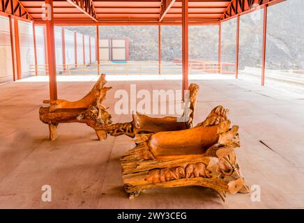 Bancs en bois sculptés à partir de vieilles souches d'arbres à Yeongcheon, Corée du Sud Banque D'Images