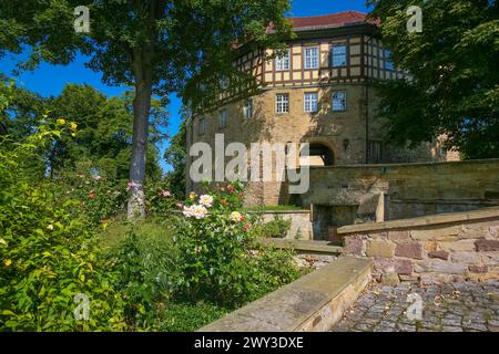 Accès au château à douves Sachsenheim, château de Grosssachsenheim, ancien château à douves, arche, mur, pont, passage, armoiries, avec Banque D'Images