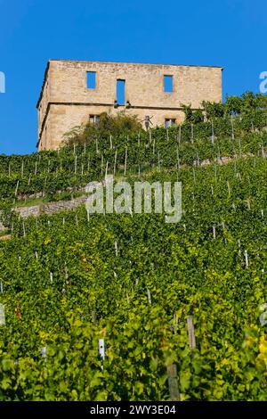 Yburg, y-Burg, Yberg, Eibenburg, ruines d'un château à flanc de colline, bâtiment historique, construit au début du XIVe siècle, destination d'excursion, vignoble Banque D'Images