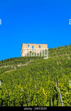 Yburg, y-Burg, Yberg, Eibenburg, ruines d'un château à flanc de colline, bâtiment historique, construit au début du XIVe siècle, destination d'excursion, vignoble Banque D'Images