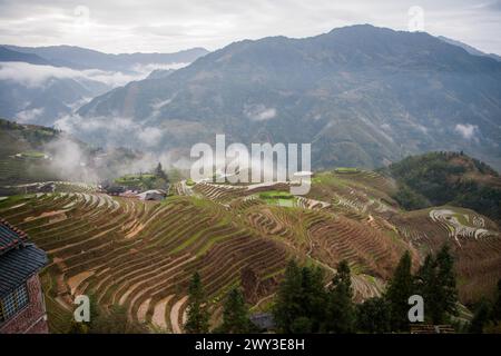 Longue terrasse de riz shen, guangxi, chine Banque D'Images