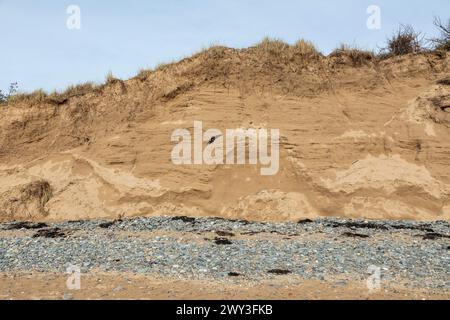 Bord de rupture, pierres, dunes, baie de LLanddwyn, Newborough, île d'Anglesey, pays de Galles, Grande-Bretagne Banque D'Images