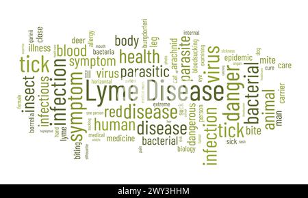 Modèle de nuage de mots de la maladie de Lyme. Fond de vecteur de concept de santé et de sensibilisation médicale. Illustration de Vecteur