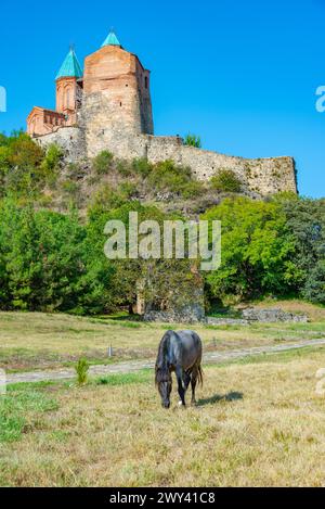 Église des Archanges de Gremi et Tour Royale en Géorgie Banque D'Images