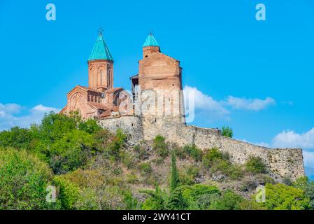 Église des Archanges de Gremi et Tour Royale en Géorgie Banque D'Images
