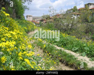 Nature et paysages traditionnels de maisons turques en été de la vieille ville ottomane. Banque D'Images