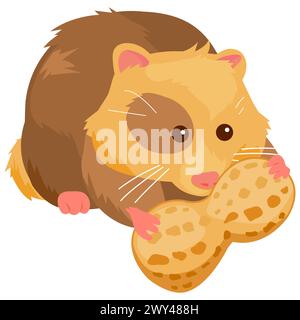 Hamster tenant une cacahuète. Animal de compagnie de hamster mignon mangeant de la nourriture de noix. Banque D'Images