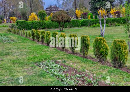 Shalimar Bagh, jardin moghol, XVIIe siècle, Srinagar, Cachemire, Inde Banque D'Images