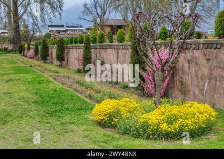 Shalimar Bagh, jardin moghol, XVIIe siècle, Srinagar, Cachemire, Inde Banque D'Images