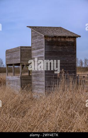 BADE-WUERTTEMBERG : OBSERVATION DU LAC PLATTFORM FEDERSEE Banque D'Images