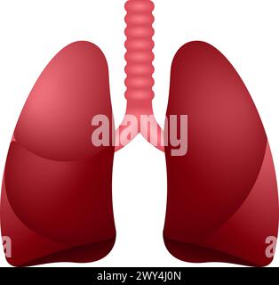 poumons Illustration de Vecteur