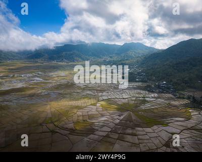 Vue aérienne des rizières en forme de toile d'araignée à Flores, Indonésie. Banque D'Images