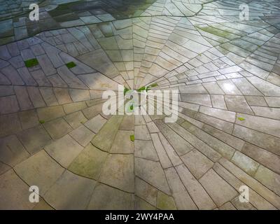Vue aérienne des rizières en forme de toile d'araignée à Flores, Indonésie. Banque D'Images