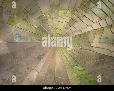 Vue aérienne des rizières en forme de toile d'araignée à Flores, Indonésie. Banque D'Images