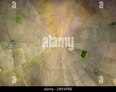 Vue aérienne des rizières en forme de toile d'araignée à Flores, Indonésie. Banque D'Images