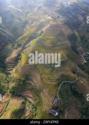 Une vue aérienne des rizières en terrasses à Mu Cang Chai, Vietnam. Banque D'Images