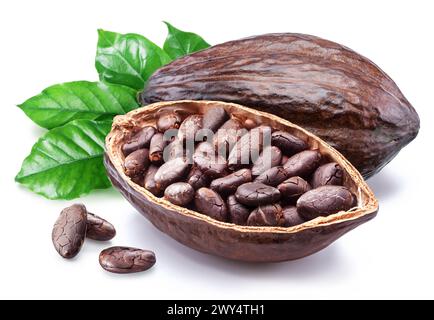 Fèves de cacao séchées dans la moitié de la gousse de cacao isolée sur fond blanc. Banque D'Images