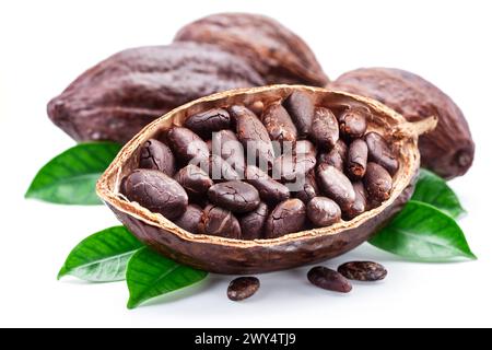 Fèves de cacao séchées dans la moitié de la gousse de cacao isolée sur fond blanc. Banque D'Images