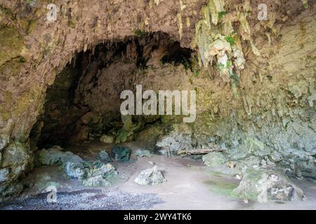 La grotte de Liang Bua (grotte de Hobbit), île de Flores, Indonésie. Banque D'Images