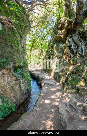 Chemin étroit le long de la levada Caldeirao Verde (canal d'irrigation) dans l'île de Madère, Portugal Banque D'Images