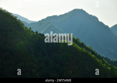 Corée du Nord. Paysages incroyables. Montagnes couvertes d'arbres au coucher du soleil Banque D'Images