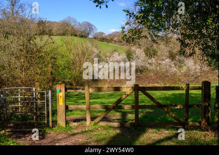 Clôture avec porte de baisers sur un chemin de randonnée à travers les bois et les collines de Haywards Heath à Balcombe au début du printemps dans le Sussex de l'Ouest, en Angleterre. Banque D'Images