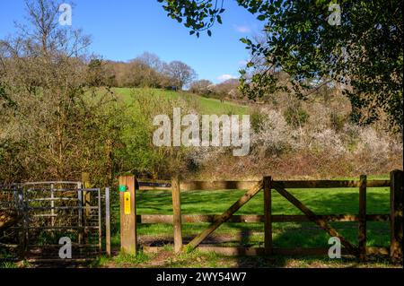 Clôture avec porte de baisers sur un chemin de randonnée à travers les bois et les collines de Haywards Heath à Balcombe au début du printemps dans le Sussex de l'Ouest, en Angleterre. Banque D'Images