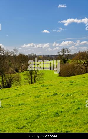 Vue sur les collines ondulantes avec de l'herbe verte éclatante, des bois et le viaduc de la vallée de l'Ouse au début du printemps près de Haywards Heath, West Sussex, Angleterre. Banque D'Images