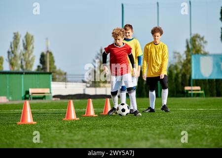 Un groupe de jeunes hommes se tient triomphalement au sommet d'un terrain de football, célébrant leur victoire. Les joueurs portent leurs uniformes de football, avec le f Banque D'Images