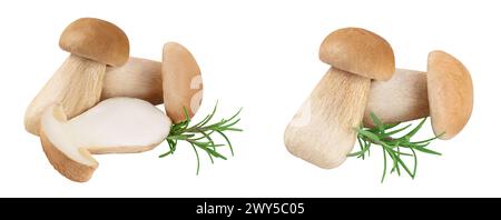 Champignon cep de porcini frais isolé sur fond blanc avec pleine profondeur de champ Banque D'Images