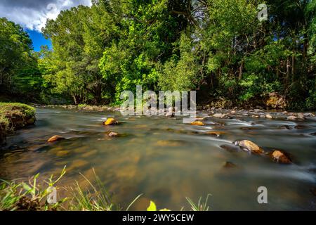 Currumbin Rock Pools à Gold Coast, Queensland, Australie Banque D'Images