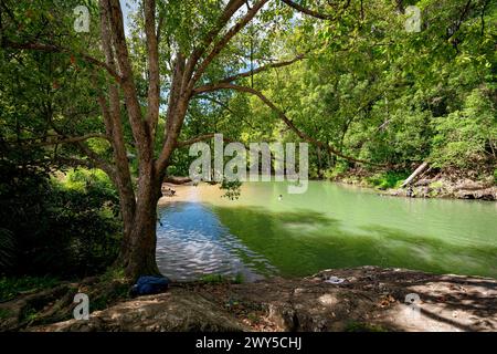 Currumbin Rock Pools à Gold Coast, Queensland, Australie Banque D'Images