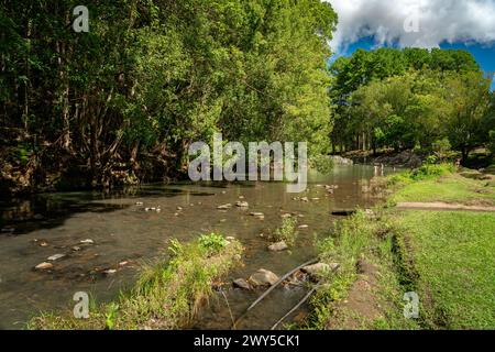 Currumbin Rock Pools à Gold Coast, Queensland, Australie Banque D'Images