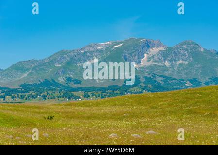 Sommets du parc national de Durmitor vus derrière une prairie, Monténégro Banque D'Images