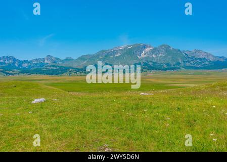 Sommets du parc national de Durmitor vus derrière une prairie, Monténégro Banque D'Images