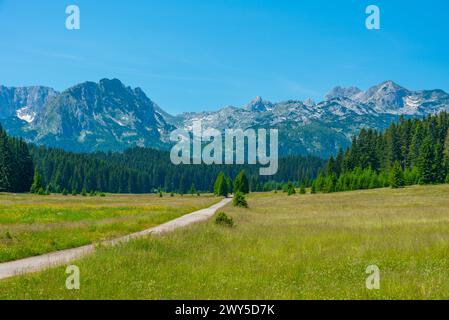 Sommets du parc national de Durmitor vus derrière une prairie, Monténégro Banque D'Images